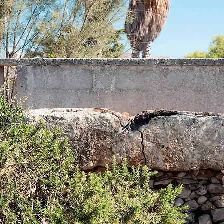Trullo A Dieci Passi Dal Mare Pizzo